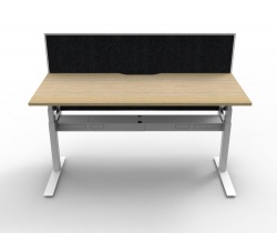 Paramount Single Height Adjustable Desk With Screen