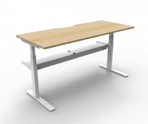 Paramount Single Height Adjustable Desk